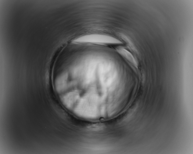 X0000089740447200707121510