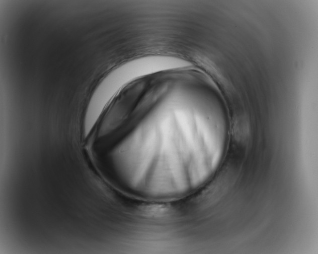 X0000089740449200707121510