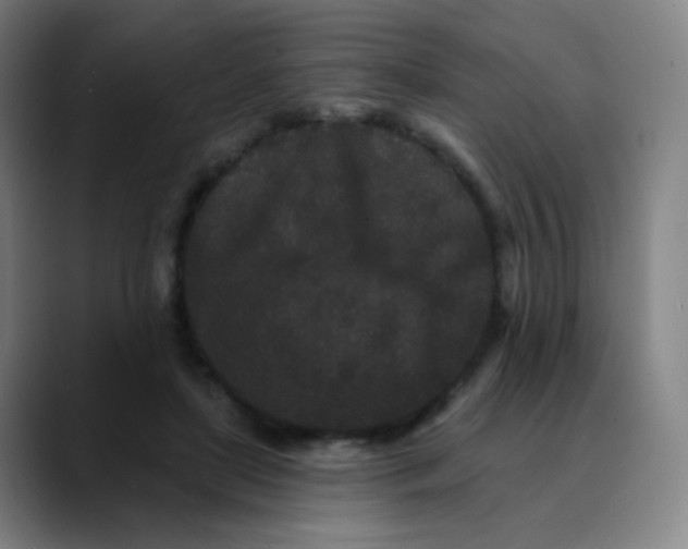 X0000089740451200707121510