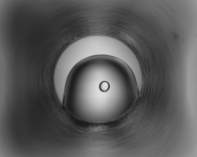 X0000089740452200707121510