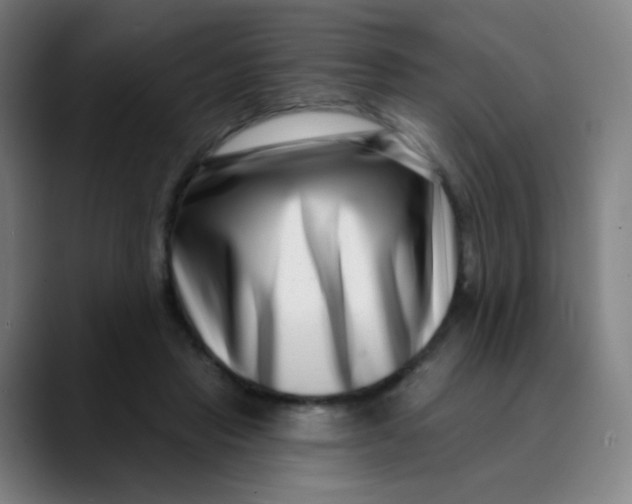 X0000089740453200707121510