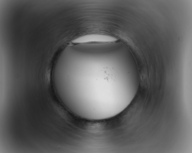 X0000089740454200707121510