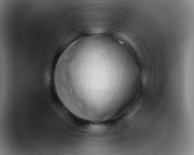 X0000089740455200707121510