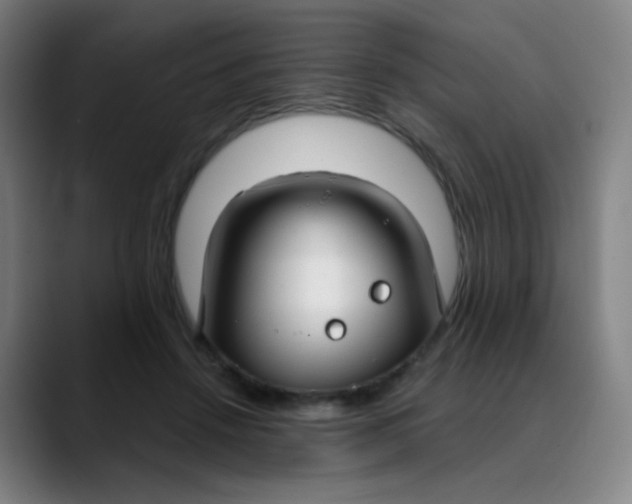 X0000089740456200707121510