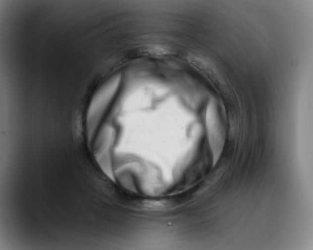 X0000089740457200707121510