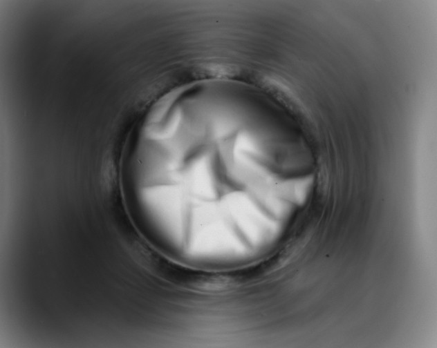 X0000089740459200707121510