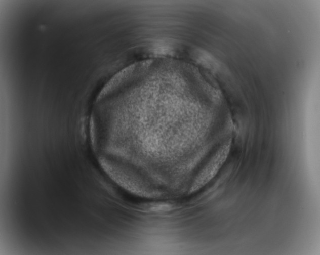 X0000089740462200707121510