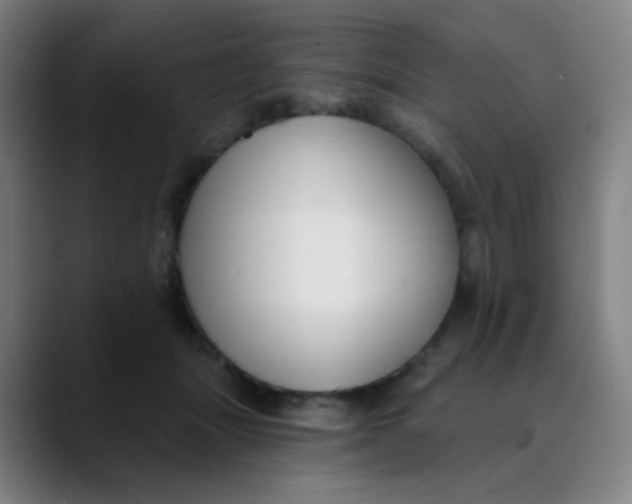 X0000089740463200707121510