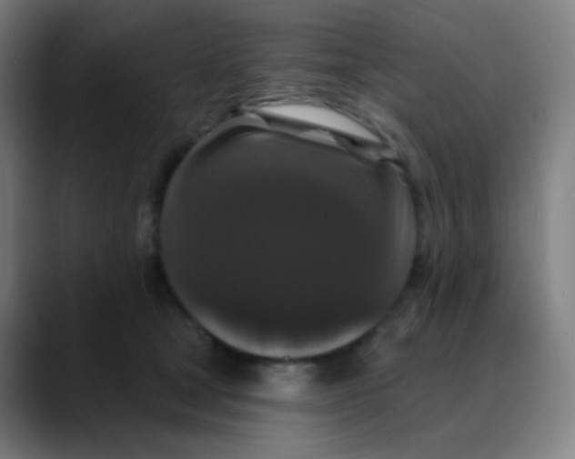 X0000089740465200707121510