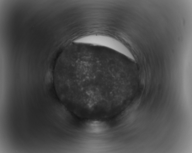 X0000089740467200707121510