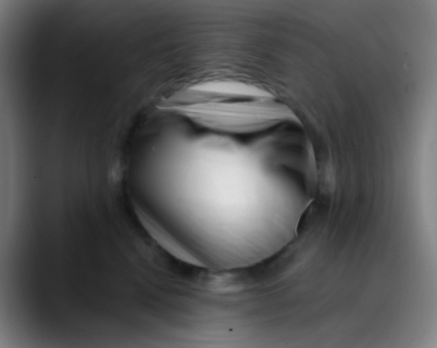 X0000089740472200707121510