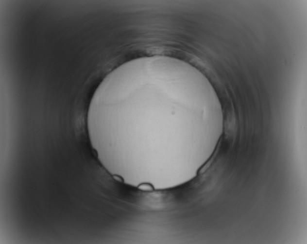 X0000089740473200707121510