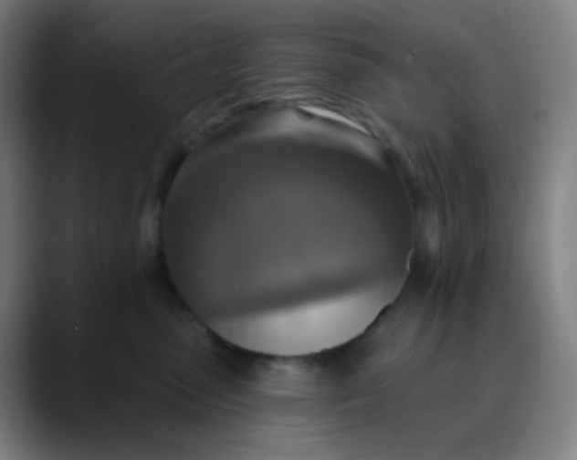 X0000089740475200707121510