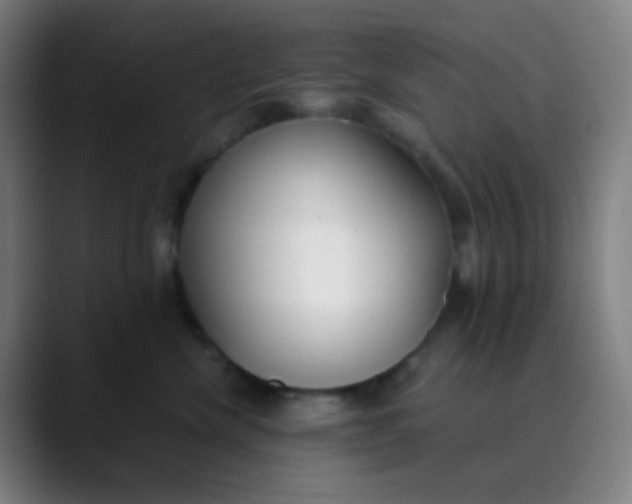 X0000089740476200707121510