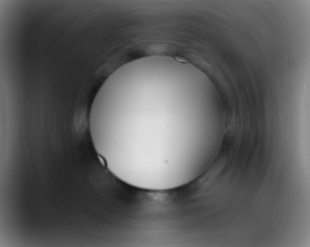 X0000089740478200707121510