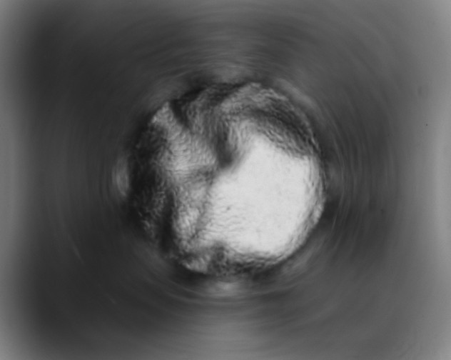 X0000089740479200707121510