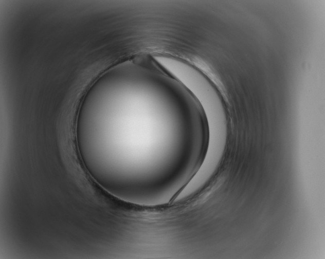 X0000089740481200707121510