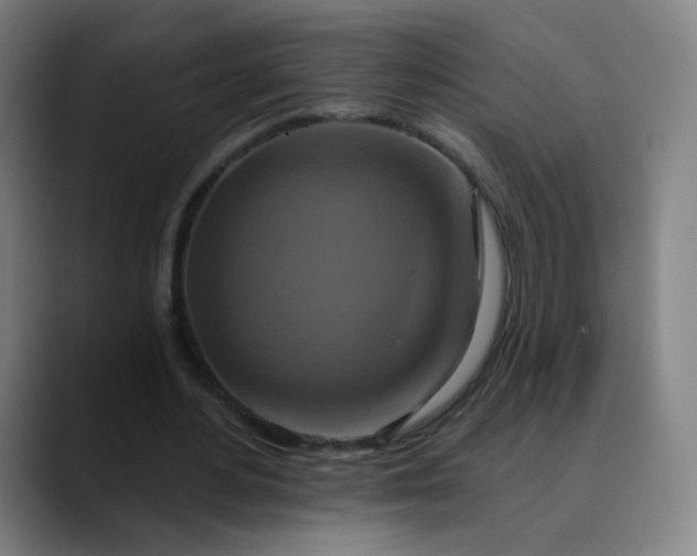 X0000089740484200707121510