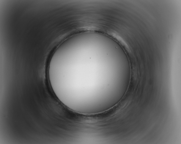 X0000089740486200707121510