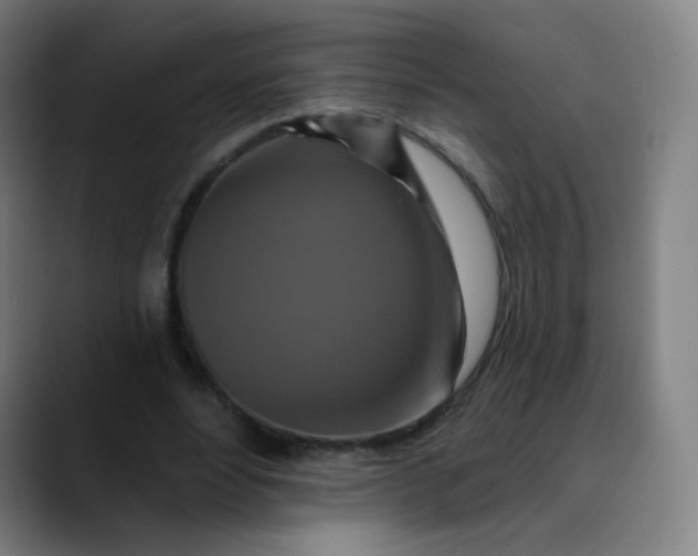 X0000089740488200707121510