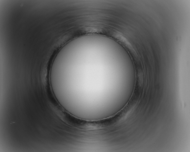 X0000089740490200707121510