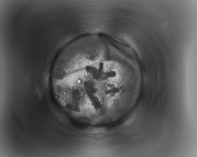 X0000089740491200707121510