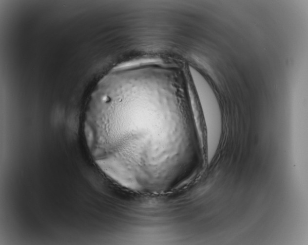 X0000089740495200707121510