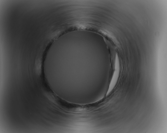 X0000089740496200707121510