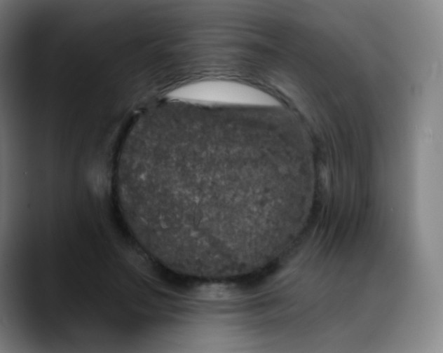 X0000089740499200707121510