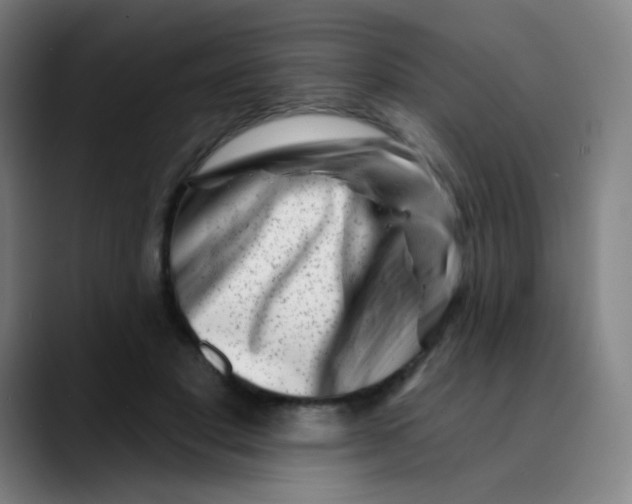 X0000089740501200707121510