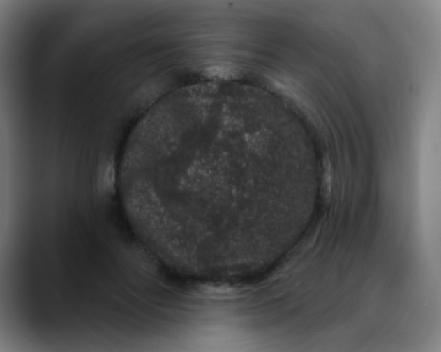 X0000089740502200707121510