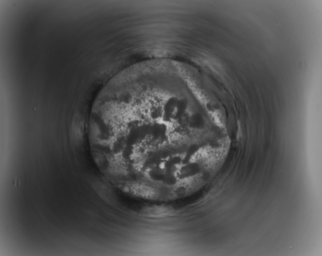 X0000089740503200707121510