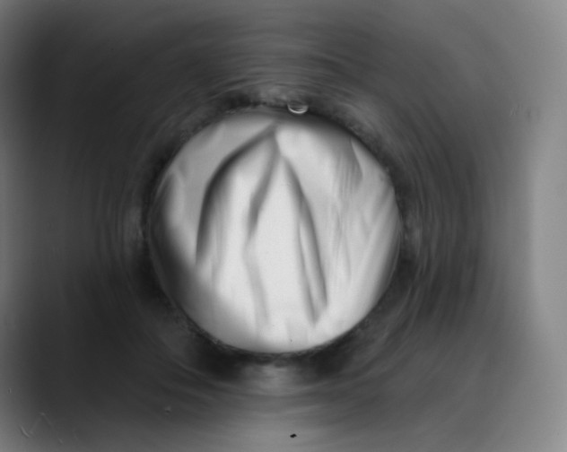 X0000089740506200707121510