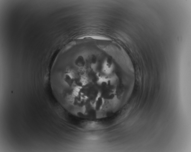 X0000089740507200707121510