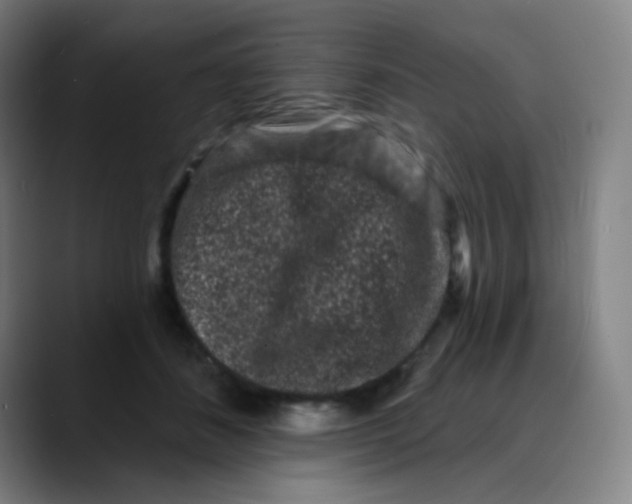 X0000089740508200707121510