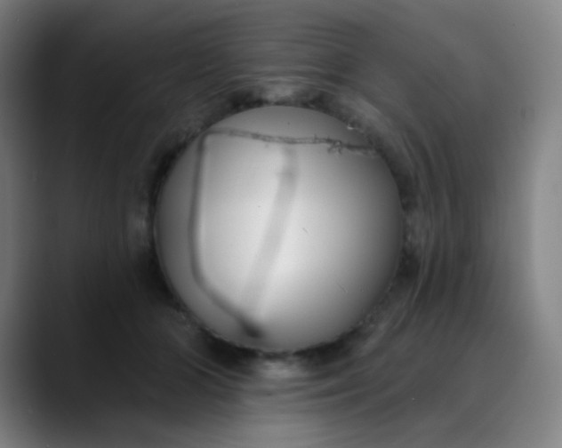 X0000089740510200707121510