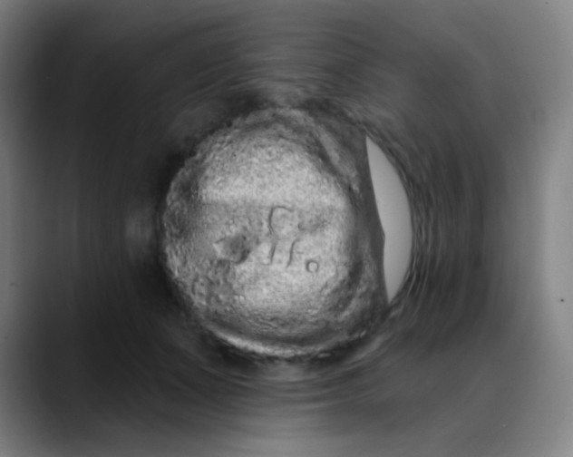 X0000089740511200707121510