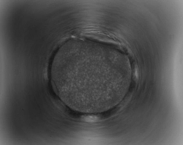 X0000089740512200707121509