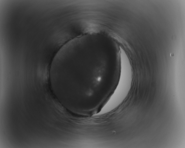 X0000089740517200707121509