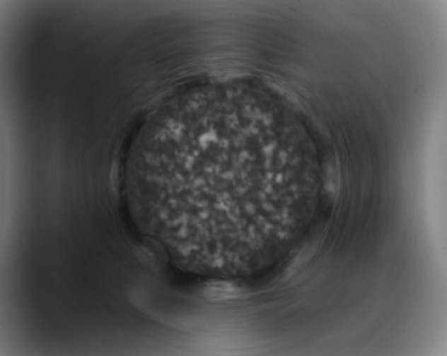 X0000089740519200707121509