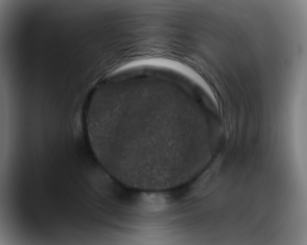 X0000089740520200707121509