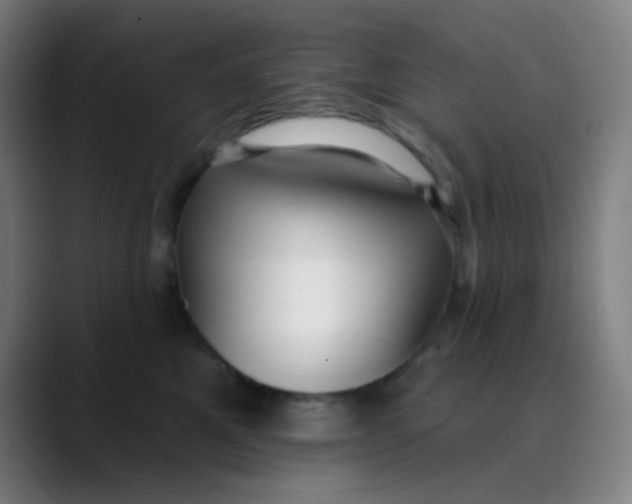 X0000089740521200707121509