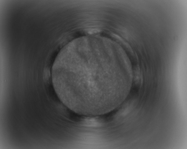 X0000089740523200707121509