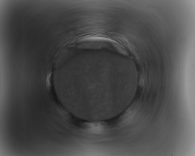 X0000089740524200707121509