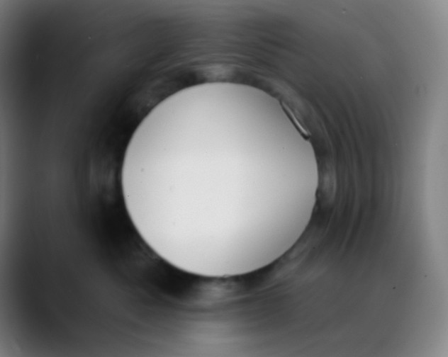 X0000089740525200707121509