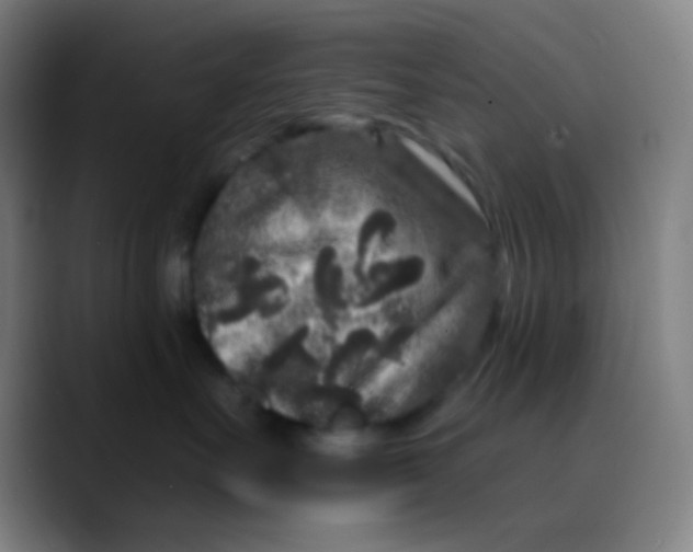 X0000089740527200707121509