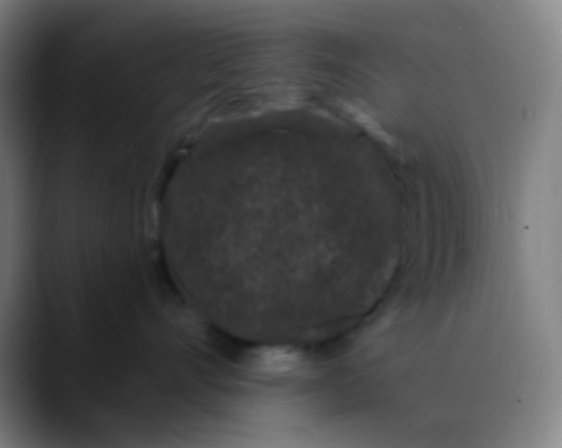 X0000089740528200707121509