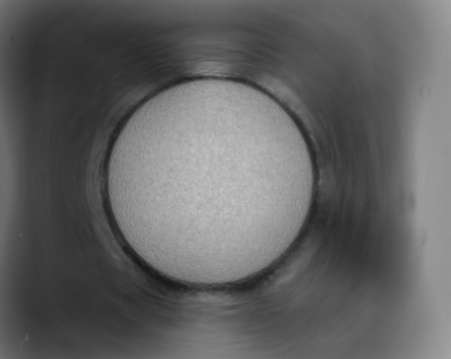 X0000089740529200707121509