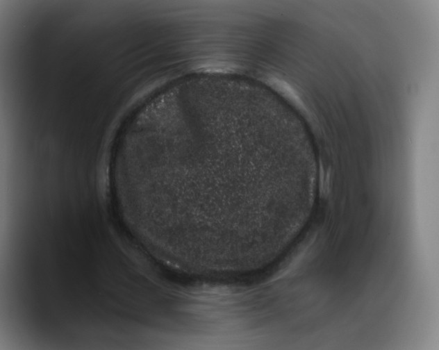 X0000089740531200707121509