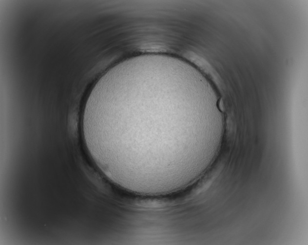 X0000089740533200707121509